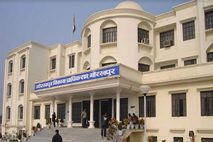 About the Department About the Department